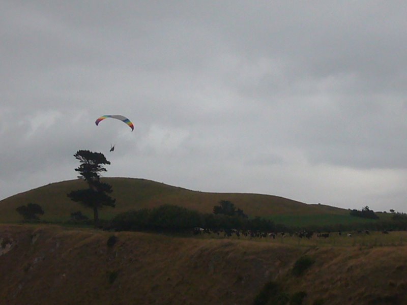Travel - New Zealand - Kaikoura Again